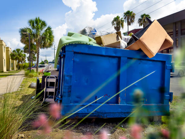 Best Junk Hauling Services  in Pine, AZ